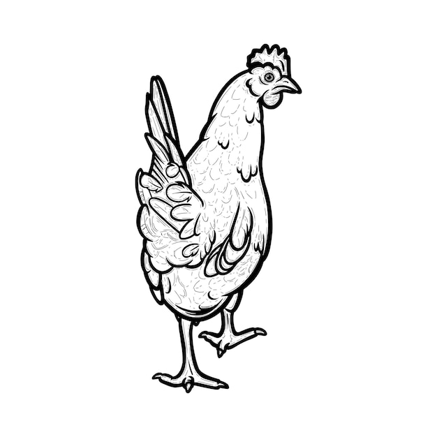 Poule Domestique Gravée Sur Fond Blanc Poule Oiseau Avec Crête De Coq Croquis Illustration Vectorielle