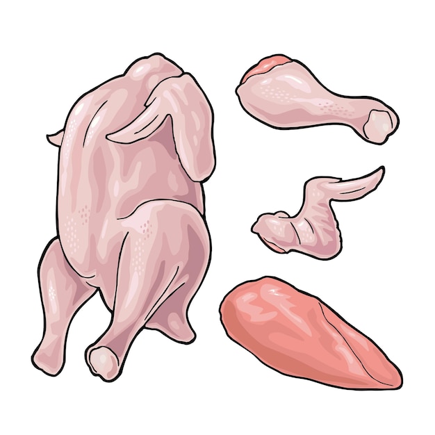 Poulet Cru D'aile De Jambe Entière Illustration Vectorielle De Couleur