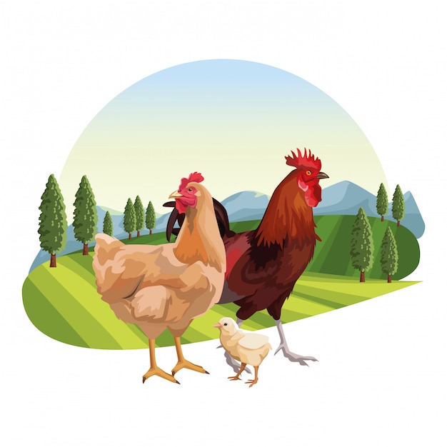 Poulet et Torréfacteur