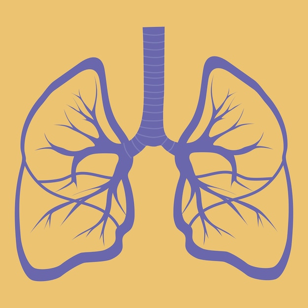 Vecteur poumons abstraits sur fond jaune.
