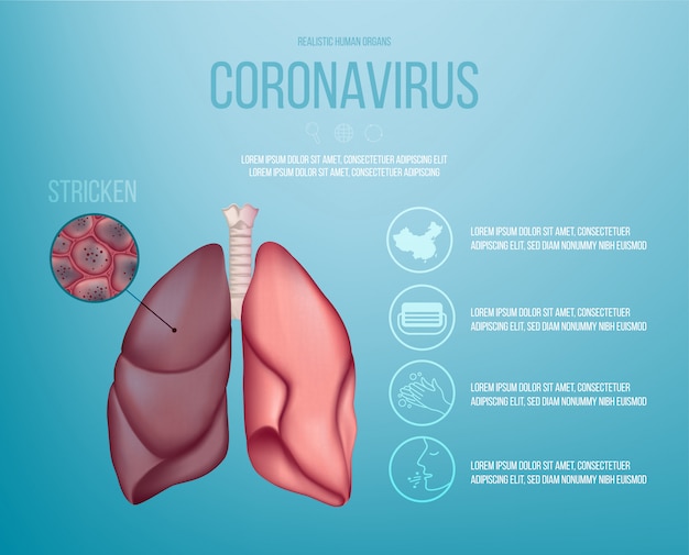 Vecteur poumons humains atteints de coronavirus. organes humains sur fond bleu. coronavirus infographique.