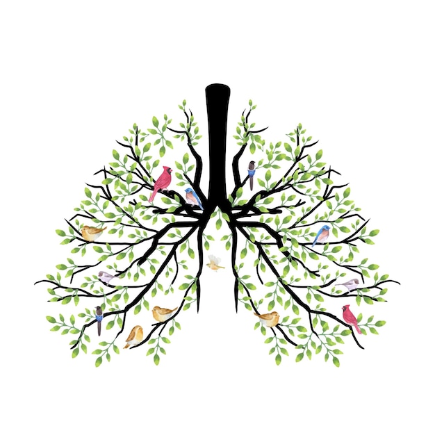 Vecteur des poumons humains pleins de nids d'oiseaux et de feuilles vertes aquarelle