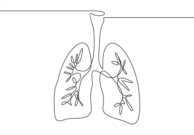 Vecteur poumons organe illustration en ligne continue