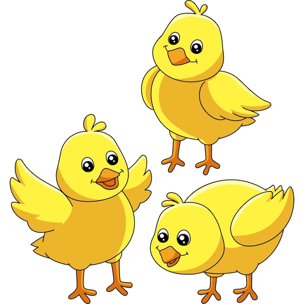 Poussins Dessin Animé Coloré Clipart Illustration