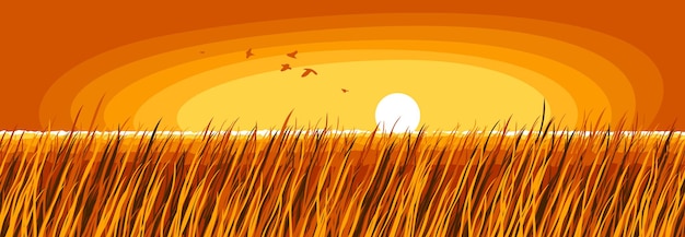 Vecteur prairie de prairie au coucher du soleil du coucher du soleil, illustration vectorielle de paysage tranquille et calme pittoresque, oubliez tous les problèmes et détendez-vous concept.