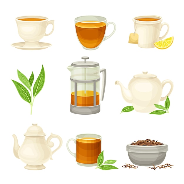Préparation de thé comme boisson aromatique chaude Brassage dans une théière et versement dans un ensemble vectoriel de tasse