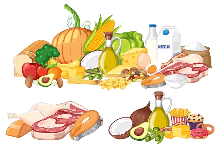 Vecteur principaux groupes d'aliments vecteur de macronutriments