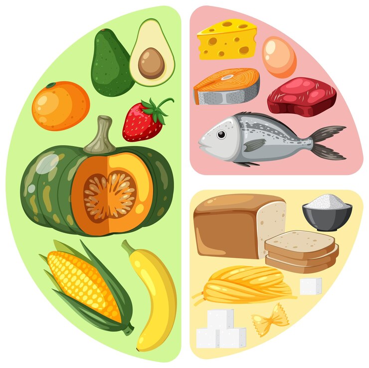 Vecteur principaux groupes d'aliments vecteur de macronutriments