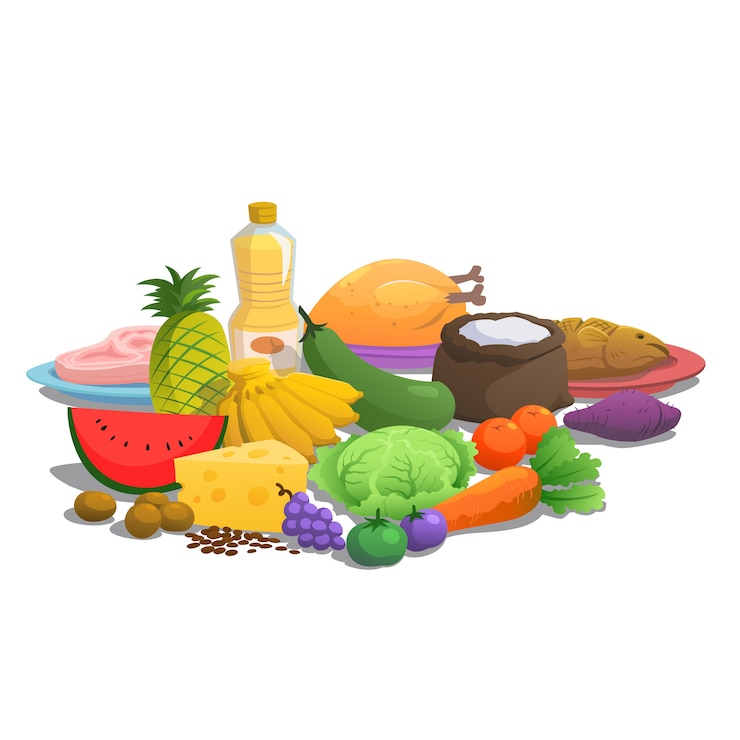 Vecteur principes nutritionnels des aliments à manger.