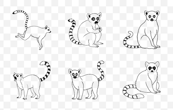 Vecteur print lemur line art vector set designs créatifs pour des projets imprimés et numériques avec lem unique