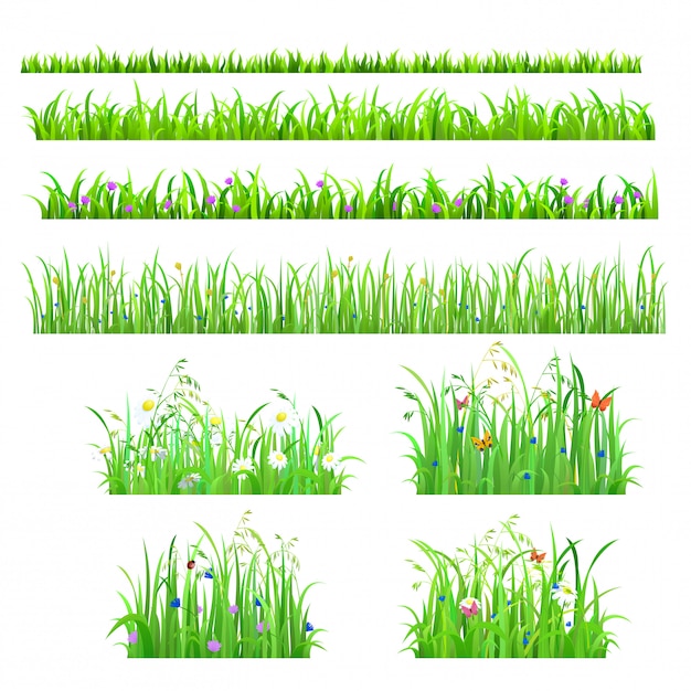 Printemps été fleurs fraîches herbe avec papillons