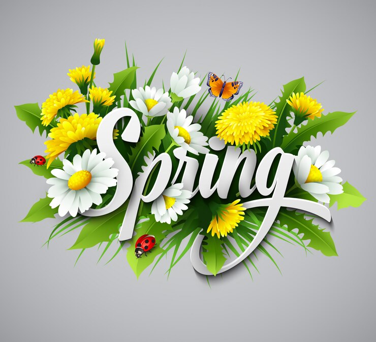 Vecteur printemps frais avec des pissenlits et des marguerites