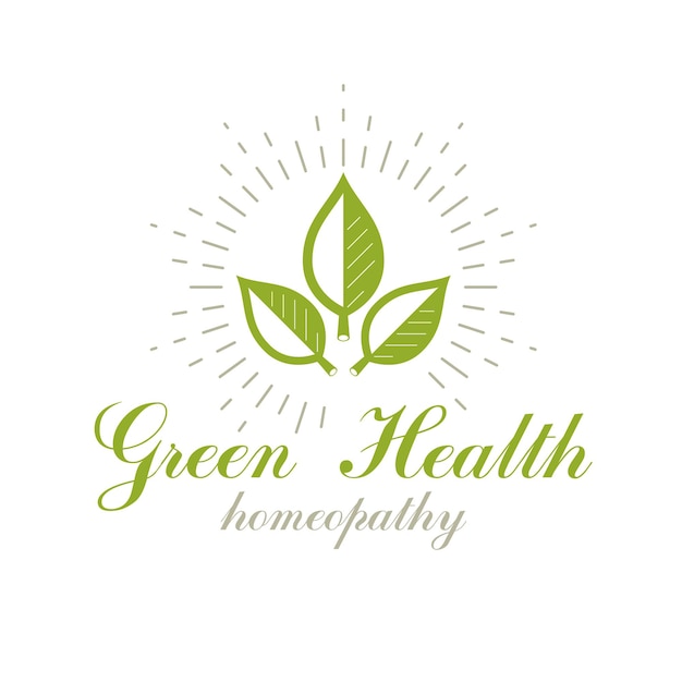Le printemps vert laisse le symbole vectoriel à utiliser dans la publicité sur le thème médical et social. Logo conceptuel graphique vectoriel de régime alimentaire cru, pas de thème gm.