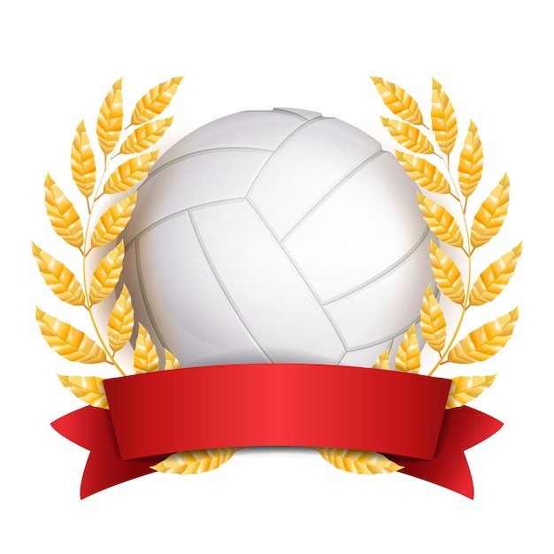 Vecteur prix de volleyball