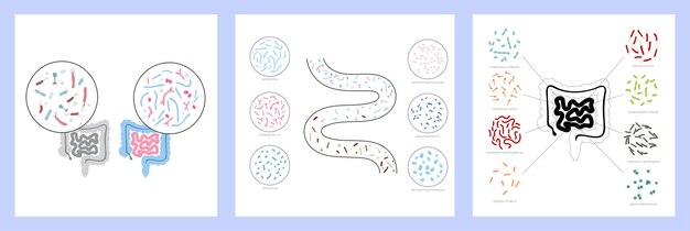 Probiotiques Et Concept De Santé Gastro-intestinale Bonnes Bactéries Et Micro-organismes Bénéfiques