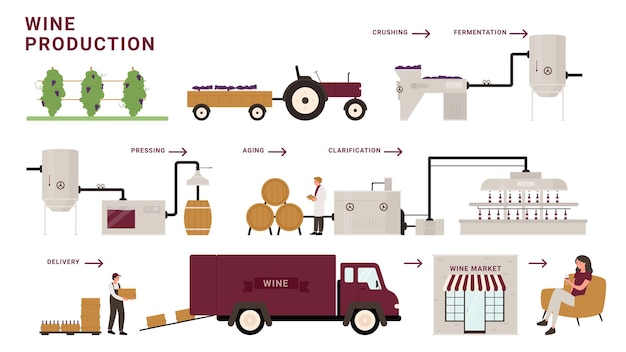 Vecteur processus de production de vin étapes illustration vectorielle infographique. ligne d'usine de production vinicole moderne de dessin animé traitant les raisins, le broyage, la fermentation et le vieillissement, la livraison au client de dégustation de boissons alcoolisées