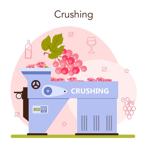 Production De Vin. Sélection Et Transformation Du Raisin. Baies De Raisin Foulant. Caractéristiques Des Boissons Alcoolisées. Vin De Raisin En Bouteille Ou En Verre. Illustration Vectorielle Plane