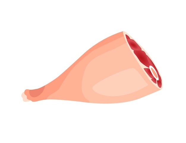 Vecteur produit carné ou viande crue. illustration pour le produit concept du marché ou de la boutique de producteurs. jambe de jambon. icône de produit de dessin animé