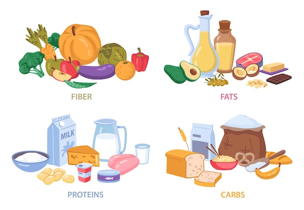 Protéines Et Glucides Fibres Alimentaires Et Graisses Alimentaires