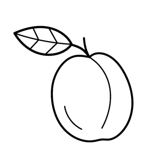 Prune. élément De Fruit Dessiné à La Main Dans Le Style De Croquis De Doodle.