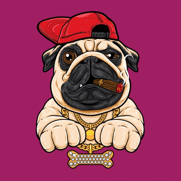 Vecteur pug hip hop style