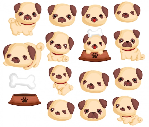 Pugs Image Set