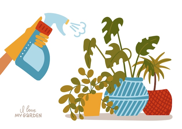 Pulvérisation manuelle des plantes d'intérieur dans des pots pulvérisateur d'eau