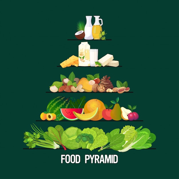 Pyramide D'aliments Et De Boissons Saines Alimentation Saine Alimentation Différents Groupes De Concept De Nutrition Biologique Céréales Céréales Fruits Légumes Lait Laitier Herbes Produits Pétroliers Ensemble