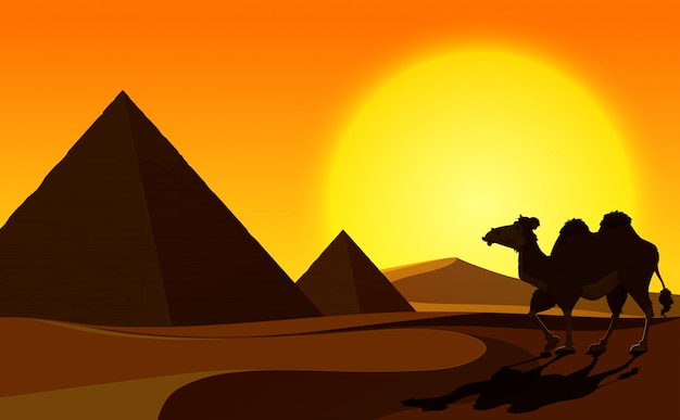 Pyramide et chameau avec scène de désert