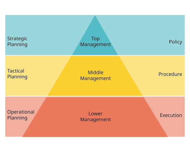 Pyramide de gestion et type de hiérarchie des structures de gestion