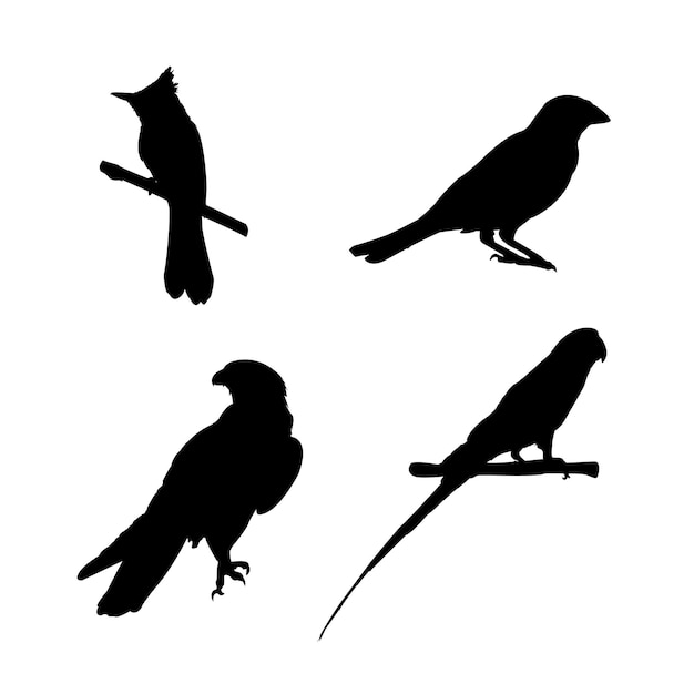 quatre différents types de silhouette d'oiseaux