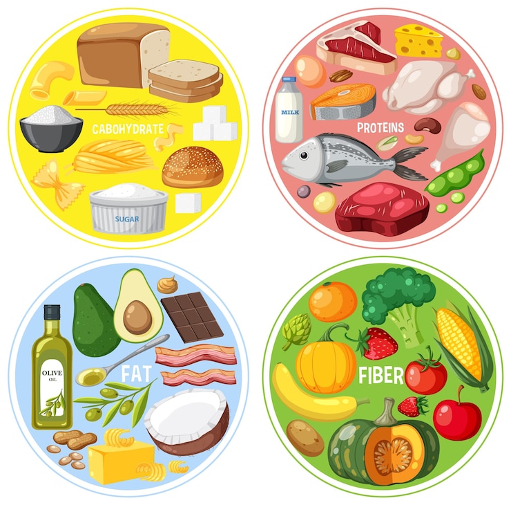 Vecteur les quatre groupes d'aliments