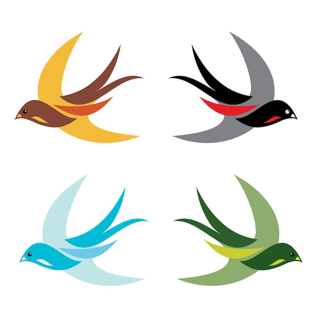 Quatre oiseaux colorés en vol sur fond blanc - vector