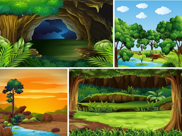 Quatre scènes de forêt à différents moments de la journée