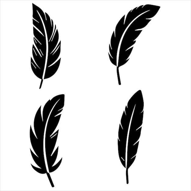 Quatre silhouettes simples de plumes noires sur un fond blanc