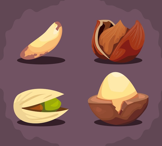 Quatre sortes de noix plates