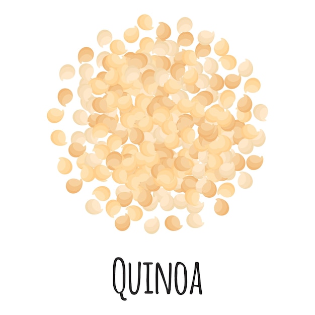 Vecteur quinoa pour la conception, l'étiquette et l'emballage du marché fermier modèle. super aliment biologique à protéines énergétiques naturelles. illustration isolée de dessin animé de vecteur.