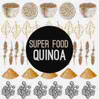 Vecteur quinoa