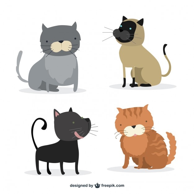 Vecteur races de chats mignons illustrés