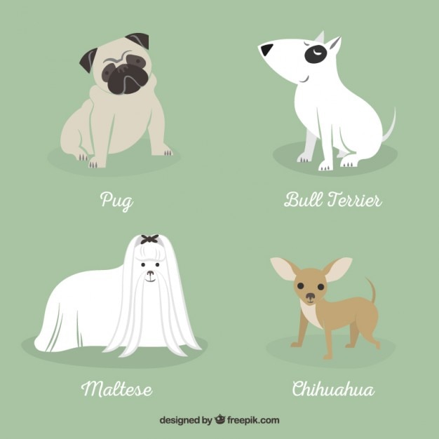 Races De Chien Illustration