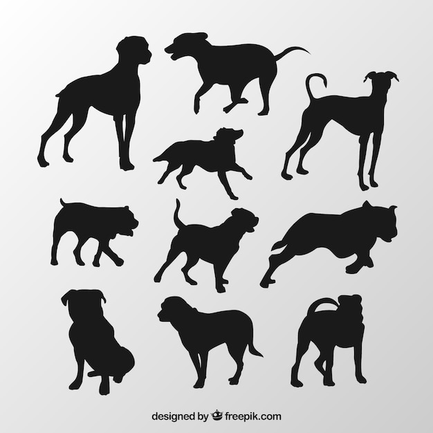 Races De Chien Silhouettes