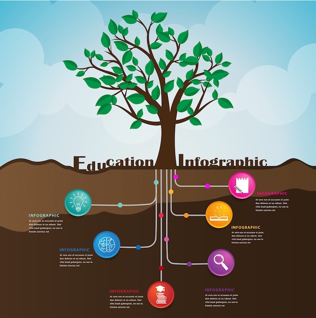 Racine De L'éducation. Peut être Utilisé Pour L'infographie Et La Présentation.