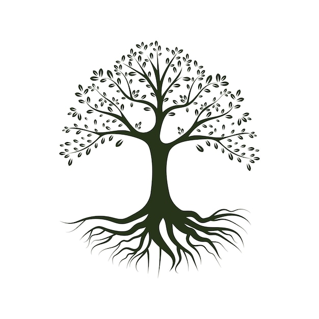 Racine feuille arbre généalogique de la vie chêne Banyan érable timbre sceau emblème étiquette logo