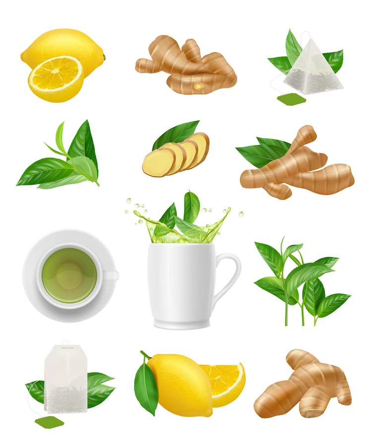 Vecteur racine de gingembre et thé. manger des plantes fraîcheur saine herbes citrons pour thé vecteur plantes réalistes. petit déjeuner sain racine et tasse de thé illustration