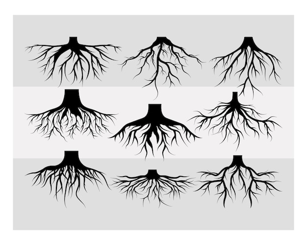 Racine SVG racine racine pivotante arbre racines racines Clipart arbre généalogique Clipart Silhouette SVG racine cheveux