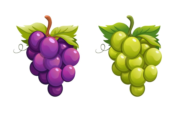 Raisin Violet Et Vert Couleur Set Cartoon Illustration Vecteur