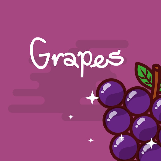 Vecteur raisins fruit délicieux affiche brillante
