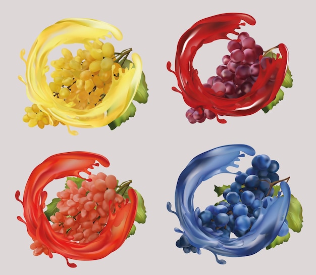 Raisins Rouges, Roses, Blancs Et Bleus. Raisins De Cuve, Raisins De Table Avec Jus De Fruits. Fruit Réaliste. Illustration.