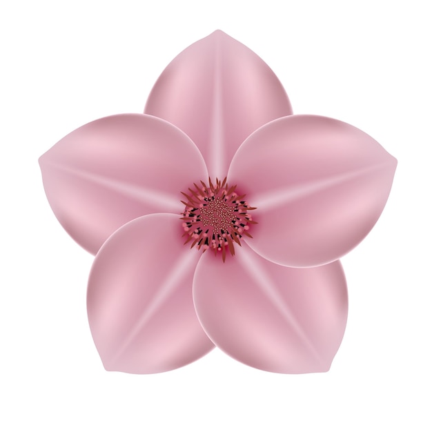 Réaliste beau sprind 3d et icône de fleur rose d'été