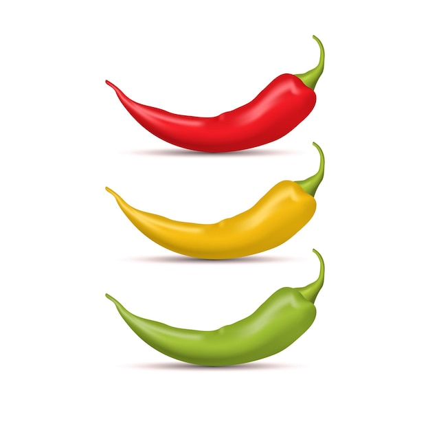 Réaliste détaillé 3d Whole Hot Chili Pepper Set Spice Ingrédient de la nourriture Illustration vectorielle de l'élément épicé